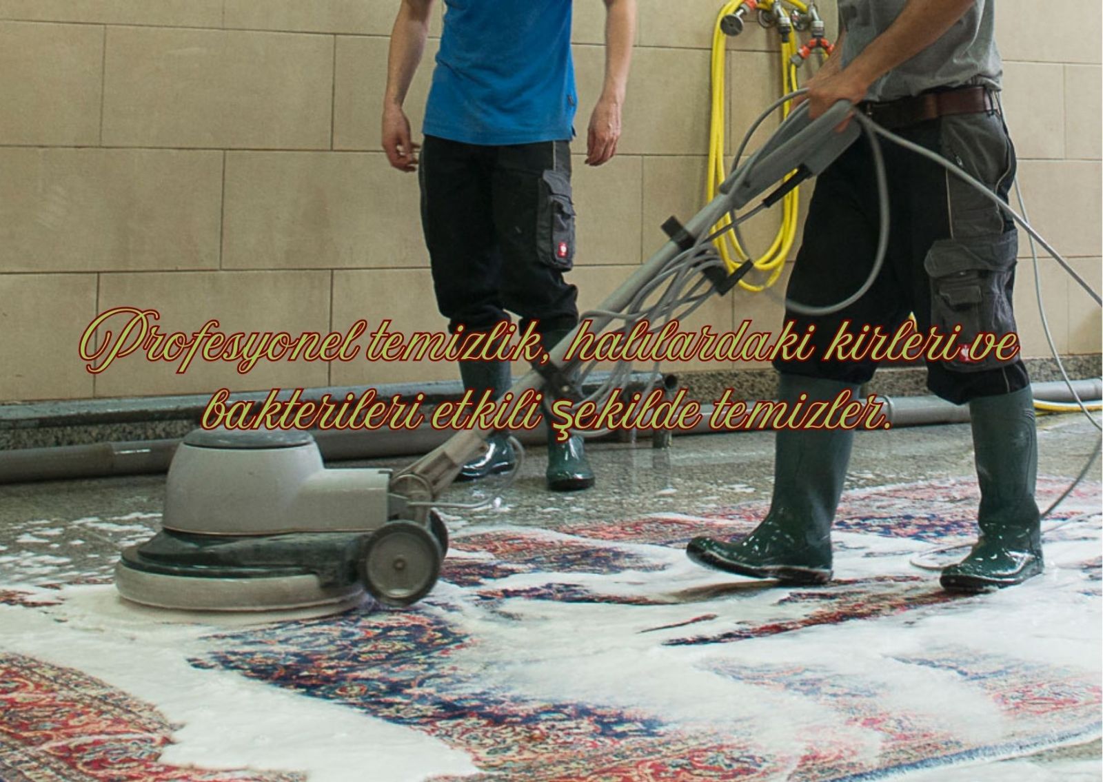 Çukurova Halı Temizleme